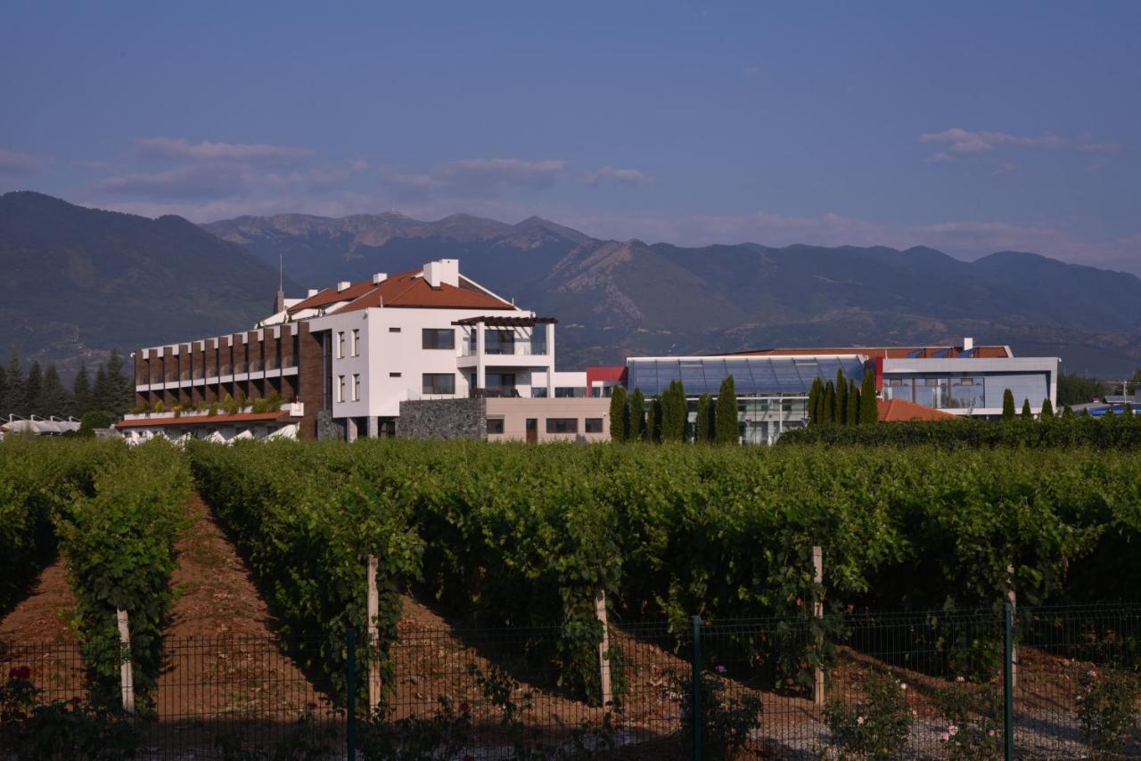 Uva Nestum Wine & Spa Goce Delcsev Kültér fotó